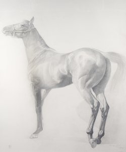 Kicking Off, 3. sorozat, 2011 (grafit papíron)